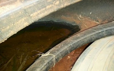 Depósito de pneus vira criadouro do mosquito da dengue em Fátima do Sul