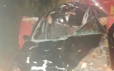 Motorista fica ferido e cavalo morre após acidente na MS-376