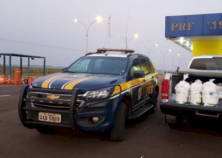 NAVIRAÍ: PRF apreende 300 Kg de agrotóxicos