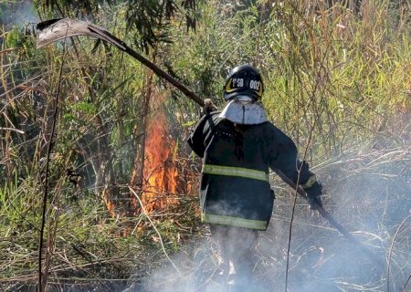 Homem ateia fogo em vegetação na BR-163 porque queria 'incendiar a cidade' de MS