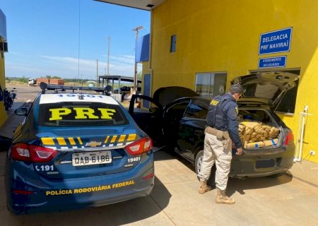 PRF apreende 502 Kg de maconha em Naviraí
