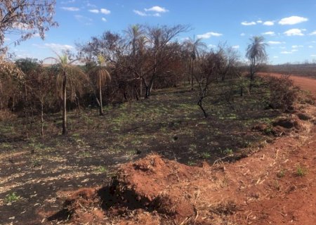 ANGÉLICA: PMA autua usina sucroenergética em R$ 15 mil devido a incêndio em matas protegidas
