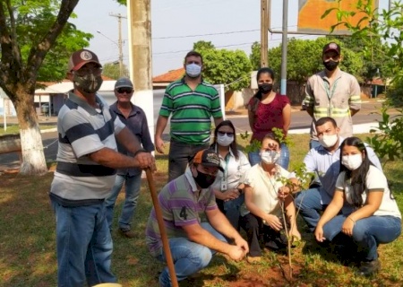 ANGÉLICA: Dia da Árvore é celebrado com plantações de mudas no município, Ipezal e Assentamento