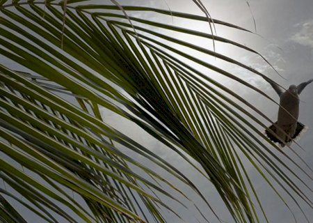 Semana da Páscoa terá nova frente fria com chuvas e temperaturas amenas em MS