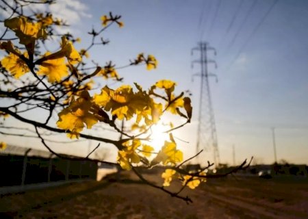 Semana segue com calor intenso e termômetros podem marcar até 37°C em MS