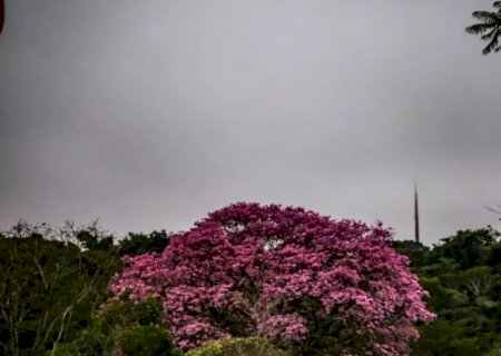 Tempestade com raios e mínima de 14 graus são esperados em Mato Grosso do Sul nesta terça