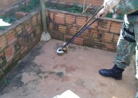 PMA de Batayporã captura réptil conhecido como cobra-de-duas-cabeças em residência
