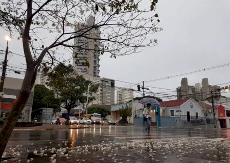 Terça-feira amanhece ensolarada, mas meteorologia indica pancadas de chuva em MS