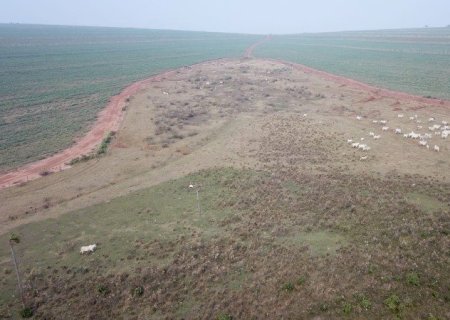 ANGÉLICA: PMA autua paulista em R$ 105 mil por manter 66 animais em área protegida de reserva legal