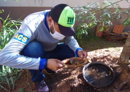 Dengue: Saúde de Batayporã vai revisitar domicílios e aplicar multa para moradores que tiverem focos em casa