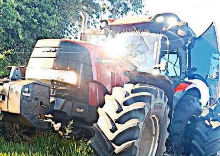 Equipe Agrícola de Ivinhema salva jiboia na MS-145