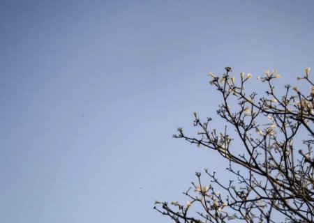 Com tempo instável, quarta-feira terá calor de até 33ºC, mas pode chover forte em MS