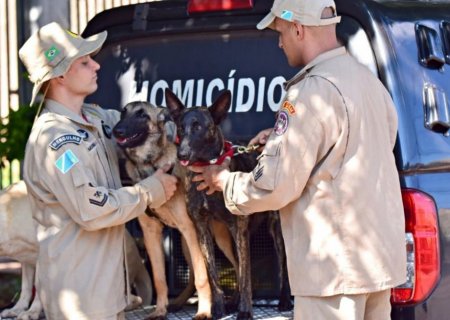 Equipe de resgate e salvamento com cão farejador do Corpo de Bombeiros vai auxiliar nas buscas por adolescente