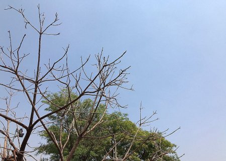 Segunda-feira com sol, tempo seco e temperaturas elevadas