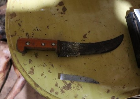 ANGÉLICA: Polícia Civil elucida crime de homicídio