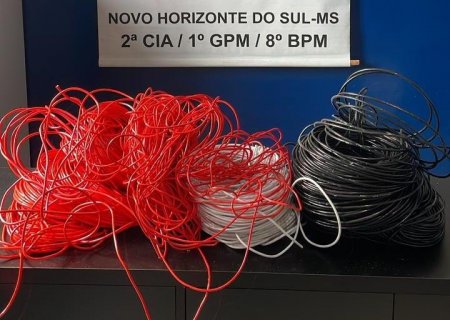 NOVO HORIZONTE DO SUL: Polícia Militar prende em flagrante autor de furto