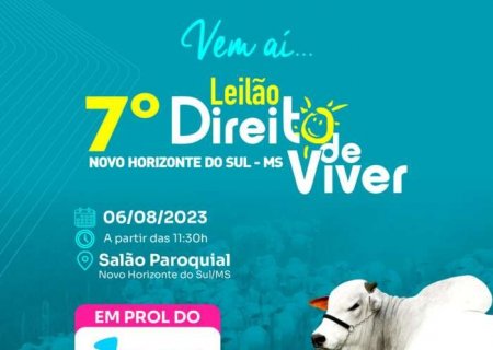 NOVO HORIZONTE DO SUL: É neste domingo o 7ª Leilão Direito de Viver