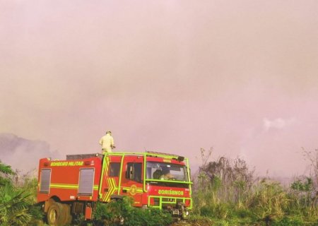 Com Pantanal em chamas, boletim mostra aumento de 25% nos focos de incêndio em um dia
