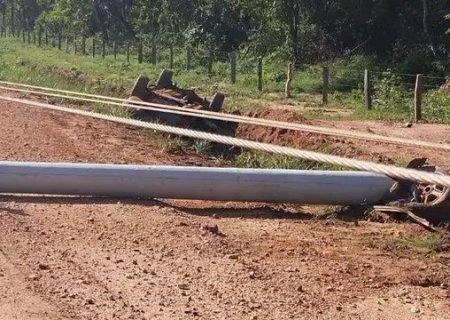 Ao desviar de animal, motorista bate em poste e capota caminhonete