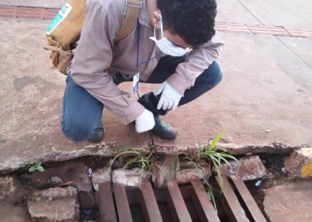Bebê de um mês é a primeira vítima da dengue no ano em MS