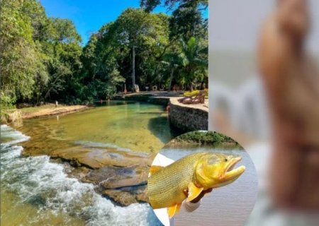 Peixe ataca e quase arranca calcanhar de visitante em Balneário