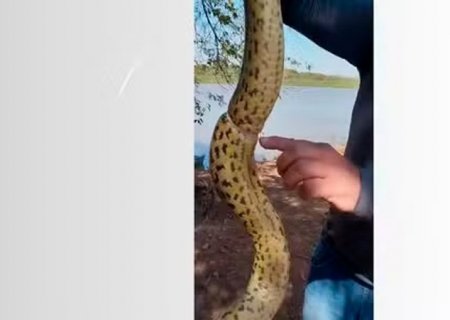 Pescadores resgatam sucuri enforcada por lacre de plástico