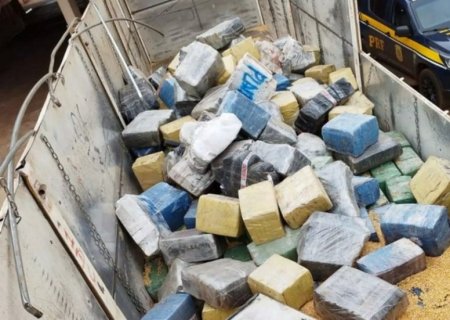 ANGÉLICA: PRF apreende quase 11 toneladas de maconha escondida em carga de milho e caminhoneiro é preso