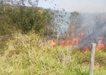 BATAYPORÃ: Homem causa incêndio florestal ao tentar cozinhar arroz na margem do córrego Esperança