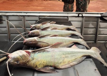 IVINHEMA: Pescador é autuado em quase R$ 2 mil por pesca predatória