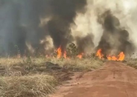 Incêndios consomem fazendas de eucaliptos em MS e preocupam moradores da região