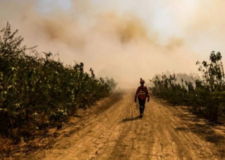 Incêndios já consumiram quase 2 milhões de hectares no Pantanal de MS