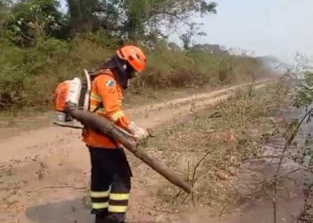 Equipes combatem incêndios florestais em diversos municípios no Mato Grosso do Sul