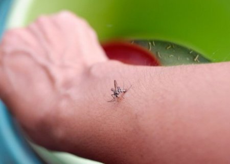 Ministério da Saúde lança campanha nacional de combate à dengue, zika e chikungunya