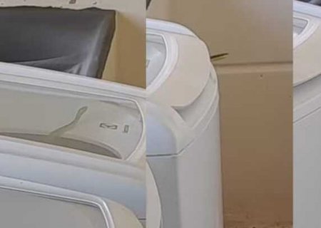 Mulher encontra cobra dentro da máquina de lavar em MS