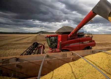 Impulsionado pela soja, Mato Grosso do Sul expande produção agropecuária no 1° semestre de 2024