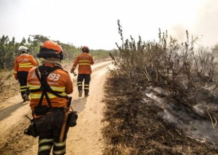 Fogo destruiu 20,8% do Pantanal de MS entre janeiro e 4 de novembro de 2024