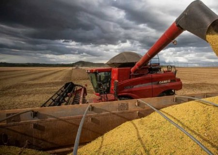 Problemas climáticos impulsionam queda de 6,7% na safra de 2024, segundo estimativas de novembro