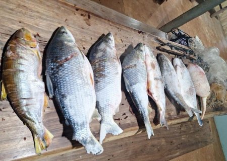 DEODÁPOLIS: PMA prende homem em flagrante por pesca predatória durante a piracema
