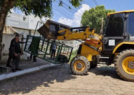 Queixadas entram em residência e causam tumulto em MS