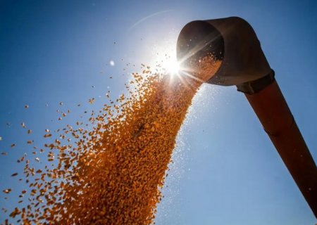 Mato Grosso do Sul fecha 2024 com superávit de US$ 7,1 bilhões na balança comercial