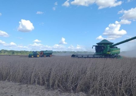 Soja: mais de 28% da área estimada já foi colhida em Mato Grosso do Sul
