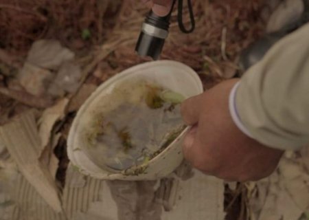 Mato Grosso do Sul confirma primeira morte por dengue em 2025