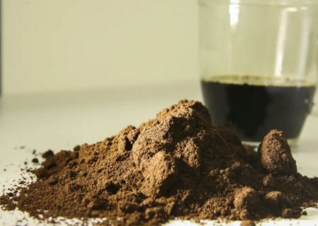 Exportações de café batem recorde na safra 2024/25, apesar da queda em fevereiro