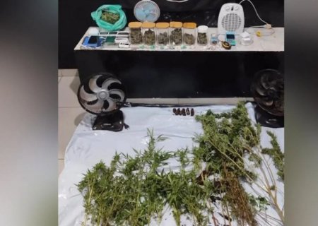 DEODÁPOLIS: Laboratório de maconha é descoberto em casa de alto padrão; suspeito foge pulando muros