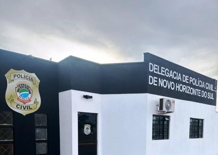 NOVO HORIZONTE DO SUL: Polícia Civil cumpre mandado de prisão preventiva contra autor de furto