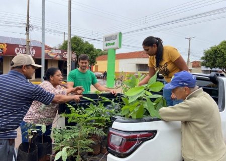 BATAYPORÃ: Ação especial oferta mais de 150 mudas nativas à população