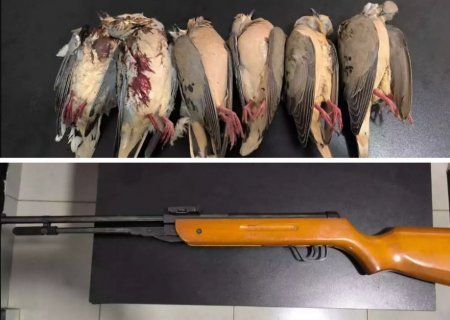DEODÁPOLIS: Suspeito de abater pombas é preso com espingarda de pressão