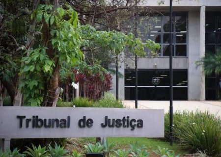 Mulher é condenada por má-fé após pedir devolução de um gato