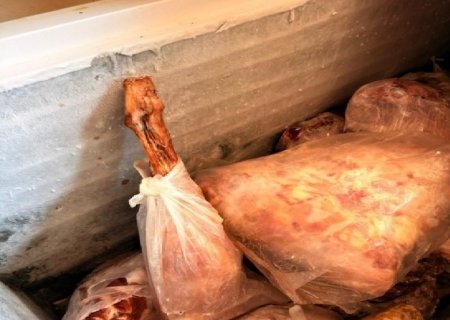 Operação da Decon apreende mais de 900 kg de carnes impróprias em mercados de Jaraguari