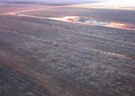 ANGÉLICA: Incêndio em canavial que atingiu áreas protegidas gera multa de R$ 4,8 milhões e será investigado pelo MPMS